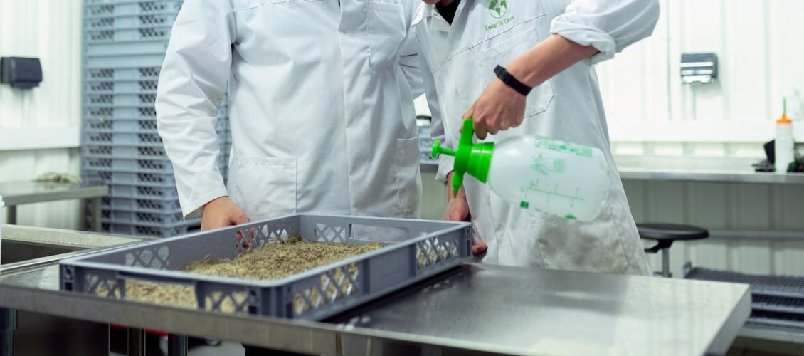 Two scientists in lab coats conducting research on sustainable indoor farming techniques.